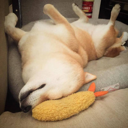 Dog Squeaky Shrimp Toy – Soft Plush Chew Toy for Small & Medium Pets